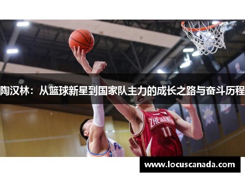 陶汉林：从篮球新星到国家队主力的成长之路与奋斗历程